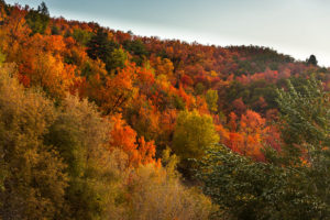 Fall Hike