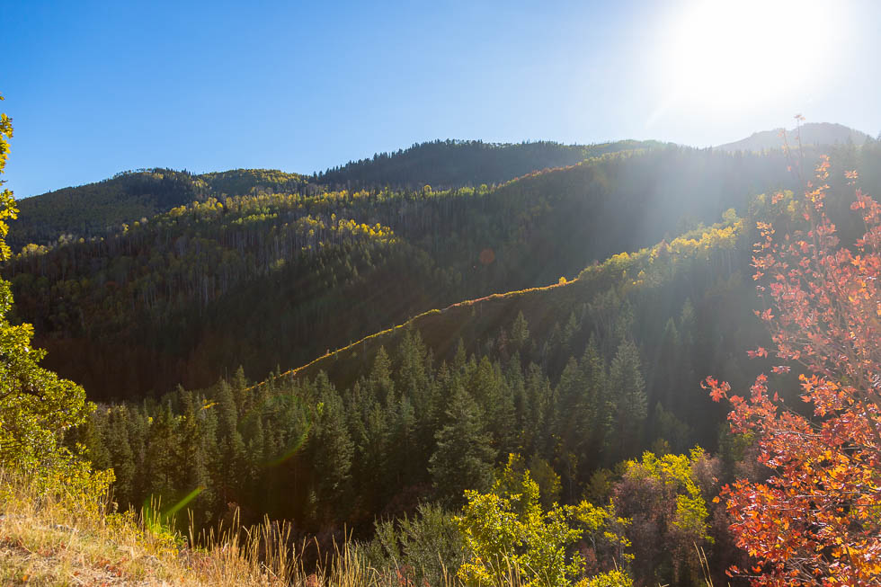 Sunlight on the Mountainside