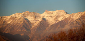 Timp