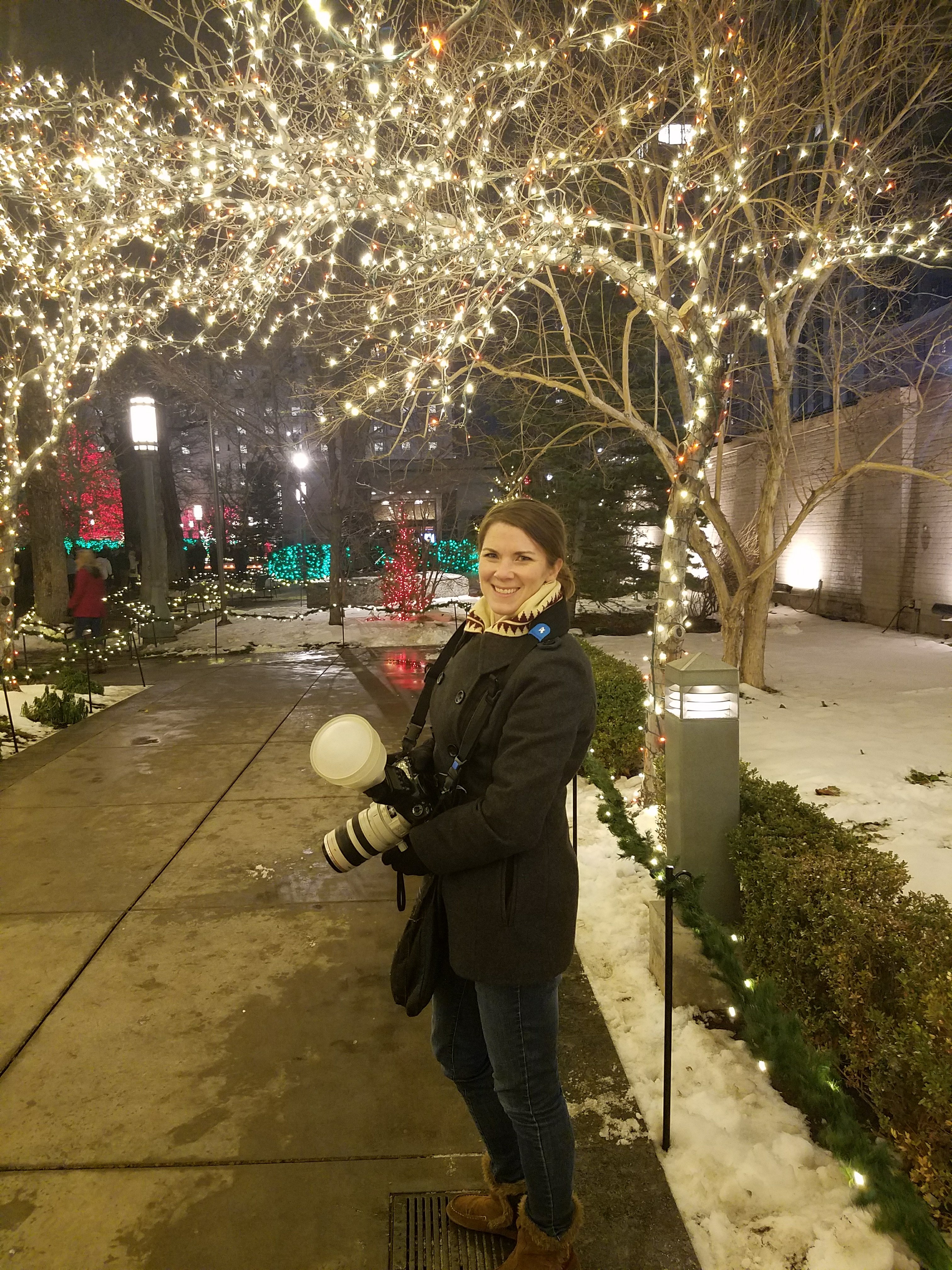 Temple square lights