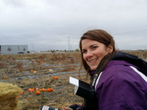 Hay Ride