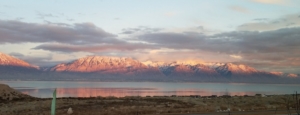 Cell phone shot of timp