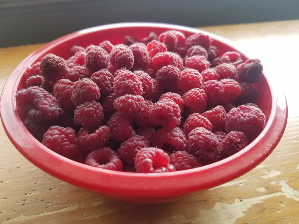 Harvest time