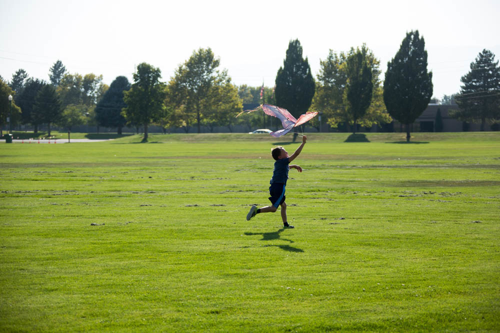 Go Fly a Kite