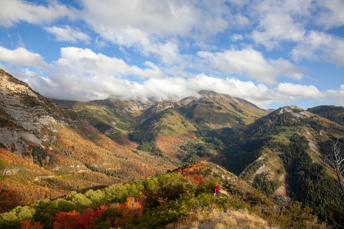 Mountain Therapy