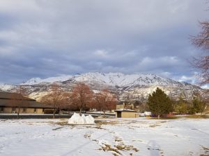 Timp covered in snow