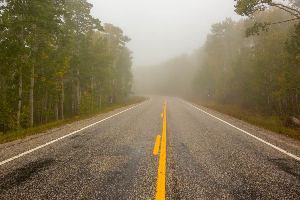 Looking down the road