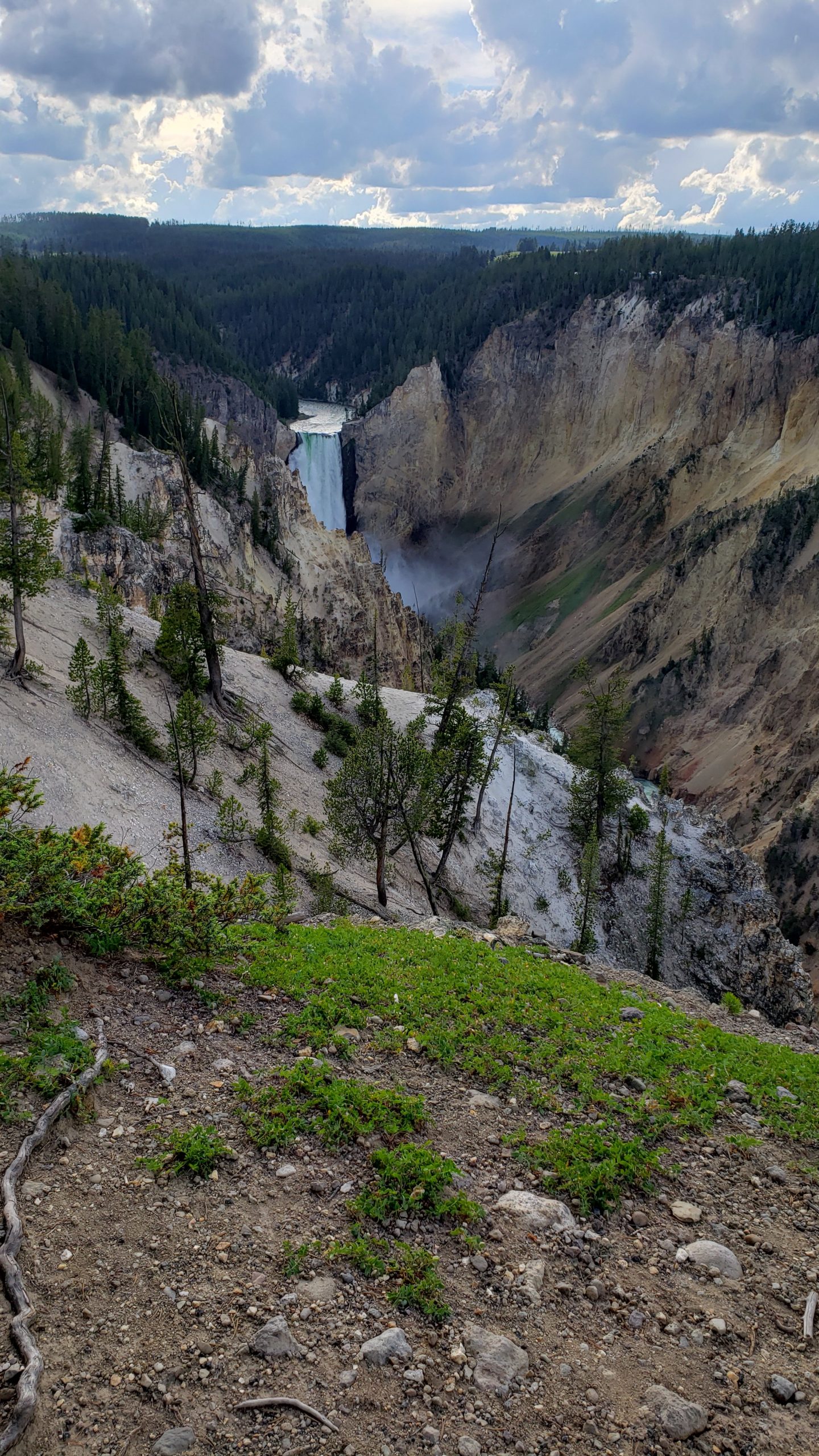 Quite the River View