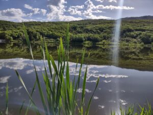 Reflection on the pond