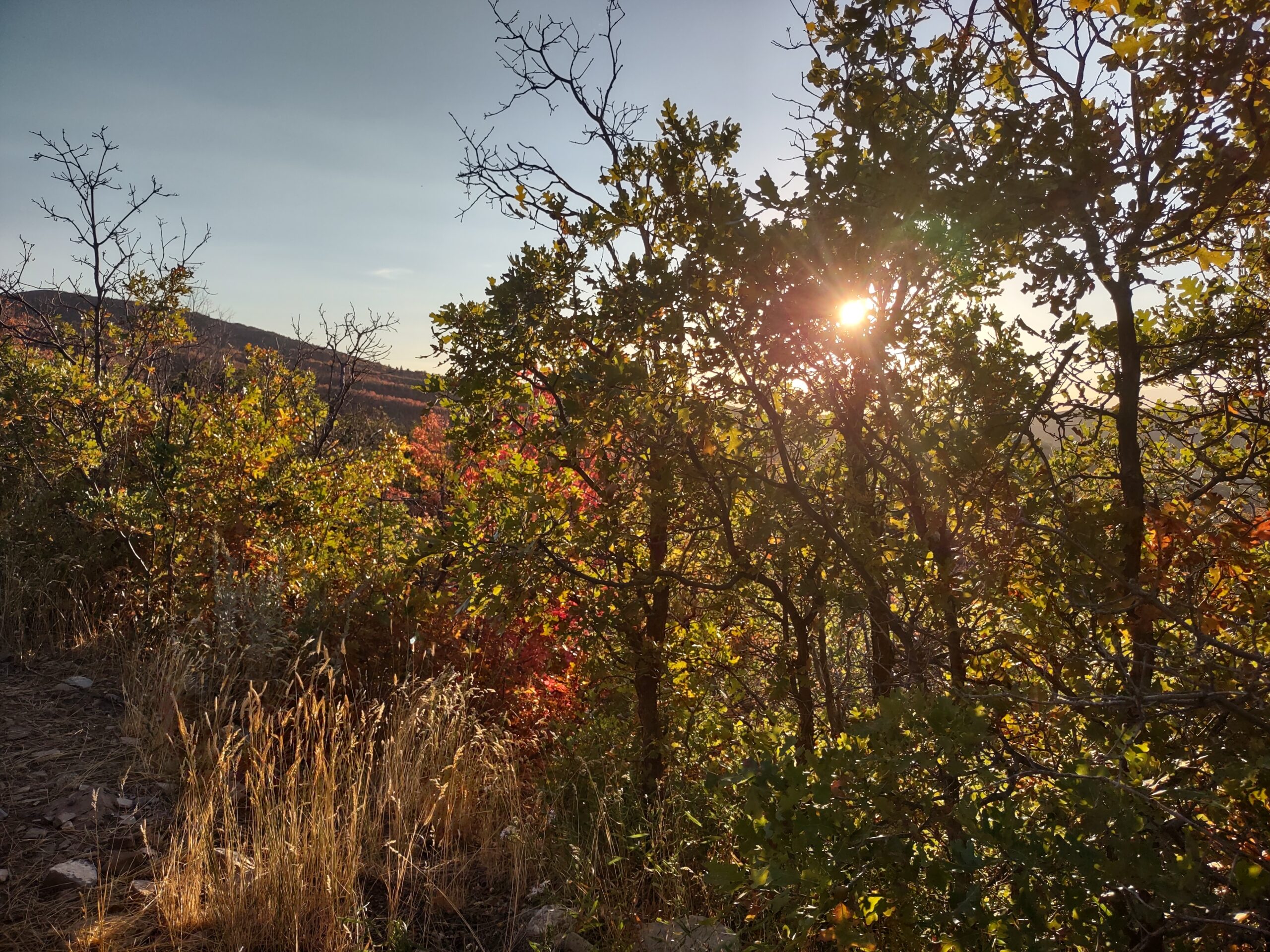 Bonneville Shoreline Trail